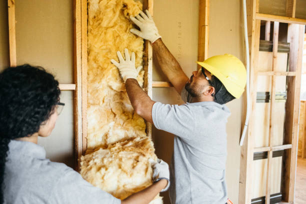 Best Wall Insulation Contractor  in Oxford, AL